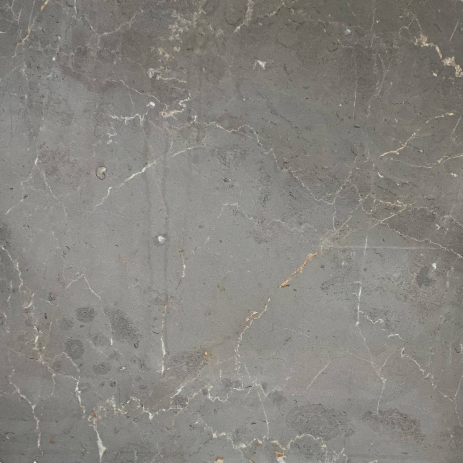 Grey Marble